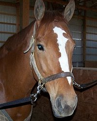 DG Dusty - April 2007