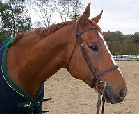 D G Dusty - October 15, 2006