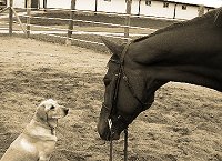 D G Dusty - October 15, 2006