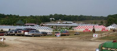 DG Dusty has placed at AA hunter/jumper horse shows.