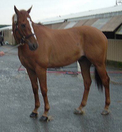 Call for more information.