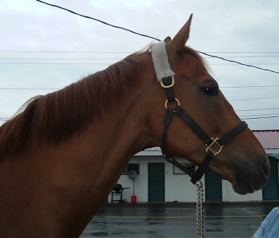 Call for more information.