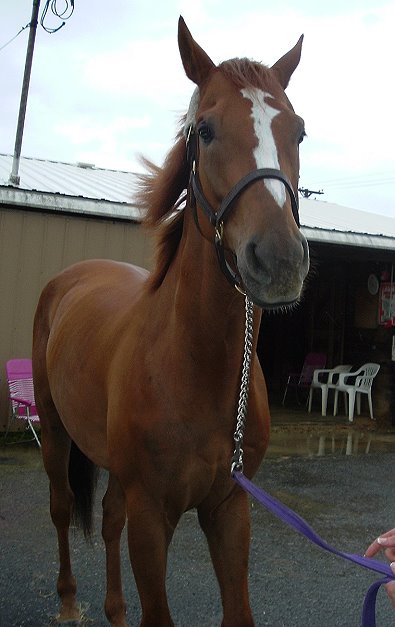 Call for more information.