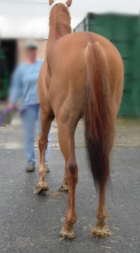 Call for more information.