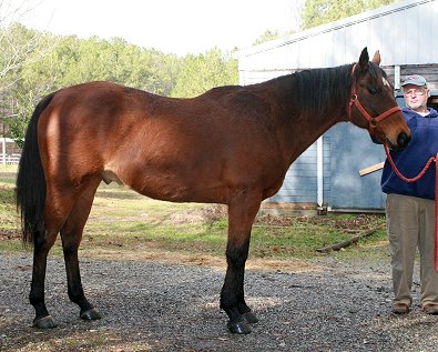 Eddy's Departure - January 7, 2007 