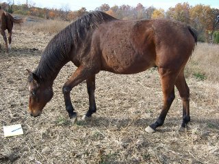 Call for more information.