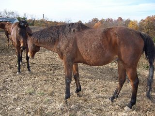 Call for more information.