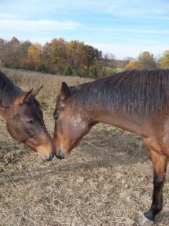 Call for more information.