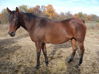 Call for more information.