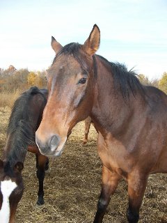 Call for more information.