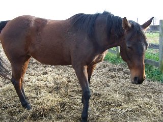 Call for more information.