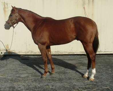 Fizzicus at the track on October 20, 2006