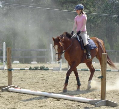 Fizzicus and Amanda are enjoying their lessons. March 2007