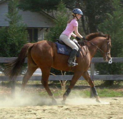 Fizzicus and Amanda finally enjoying being together!