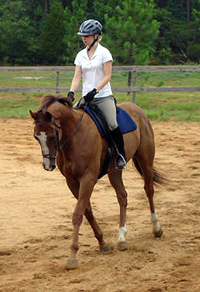 OTTB - Fizzicus and Amanda Curtis have moved to Aiken, SC. July 2007