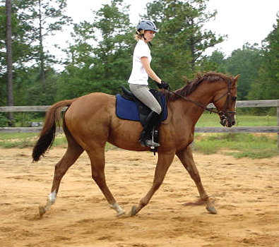 OTTB - Fizzicus and Amanda Curtis have moved to Aiken, SC. July 2007