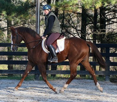 Fizzicusis a lovely mover and very comfortable to ride. November 18, 2006