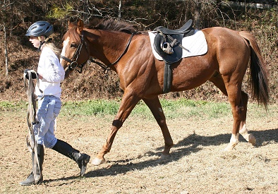 Amanda Curtis and her OTTB Fizzicus.