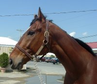 Unfundisi has a new Success Stories page.