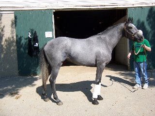 Call for more information.