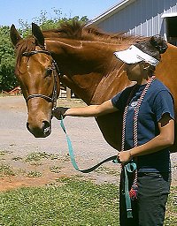 Sir Gregory at home with Shannon Venezia's sister Katie.