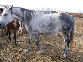 Call for more information.