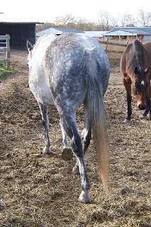 Call for more information.