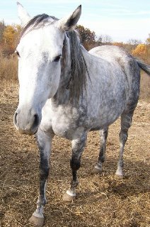 Call for more information.