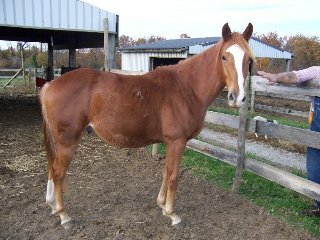 Call for more information.