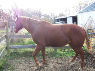 Call for more information.