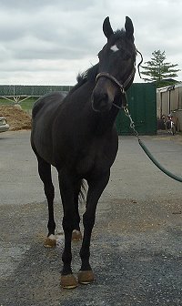 Call for more information.