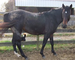 Call for more information.