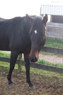 Call for more information.