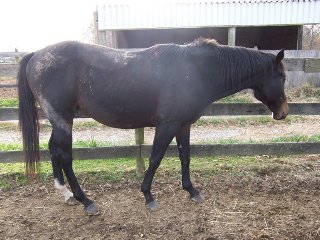 Call for more information.