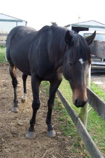 Call for more information.