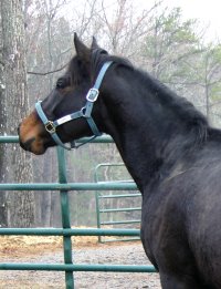 "Josh" is drop dead gorgeous!