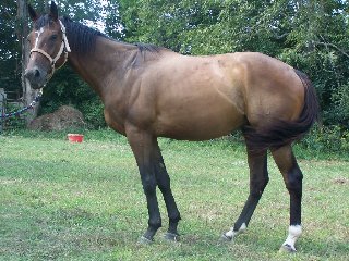 Call for more information.