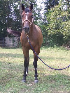 Call for more information.