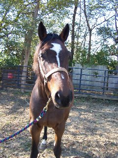 Call for more information.