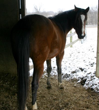 Most Always a Lady  - February 18, 2006