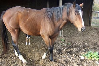 Call for more information.