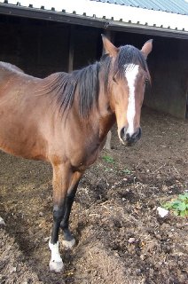 Call for more information.