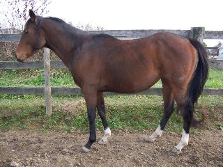 Call for more information.