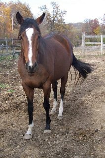 Call for more information.