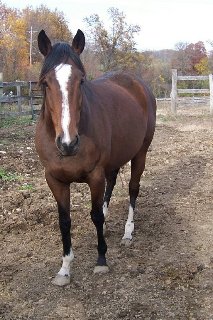 Call for more information.