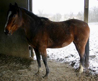 Most Always a Lady  - February 18, 2006