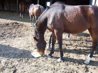 Call for more information.