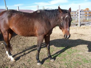 Call for more information.