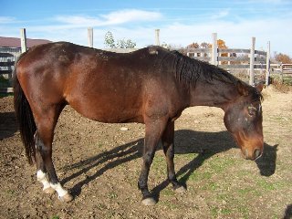 Call for more information.