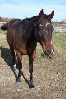 Call for more information.